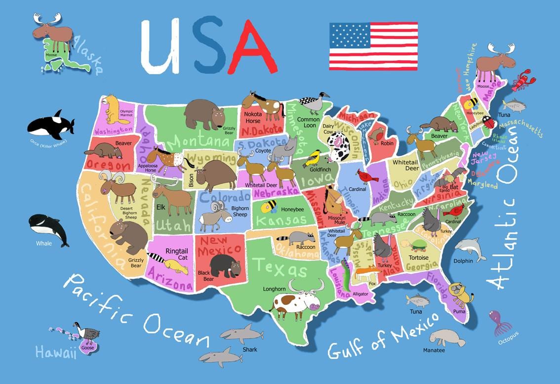 mapa dos Estados Unidos para crianças
