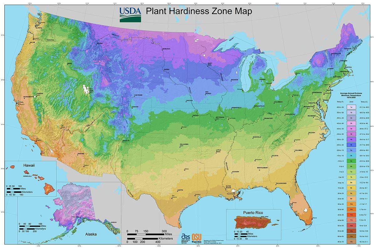usda planta da resistência da zona mapa