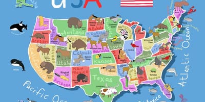 Mapa dos Estados Unidos para crianças