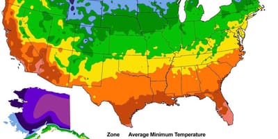 NÓS mapa de temperatura